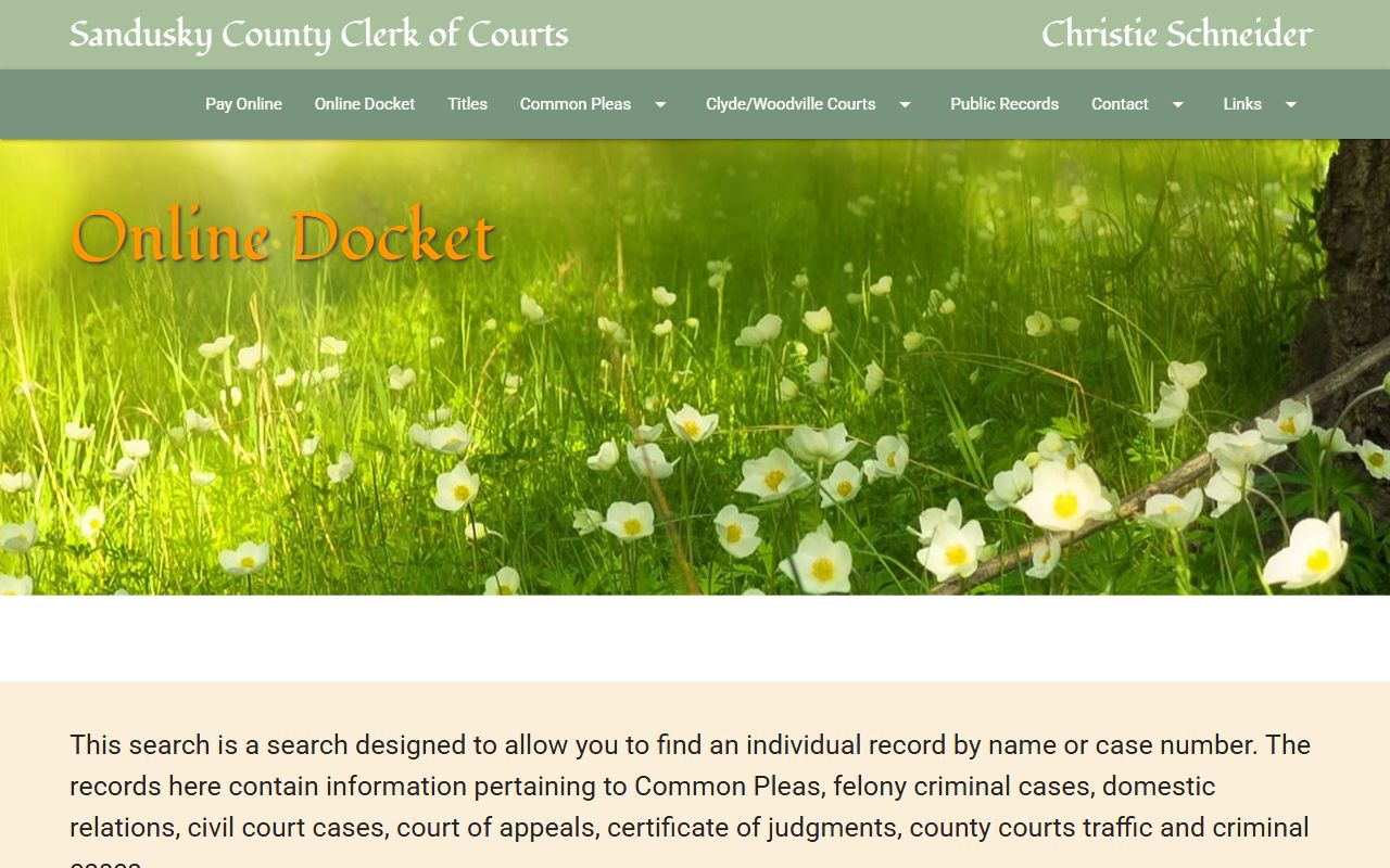 Sandusky County Clerk of Courts online docket for background check searches